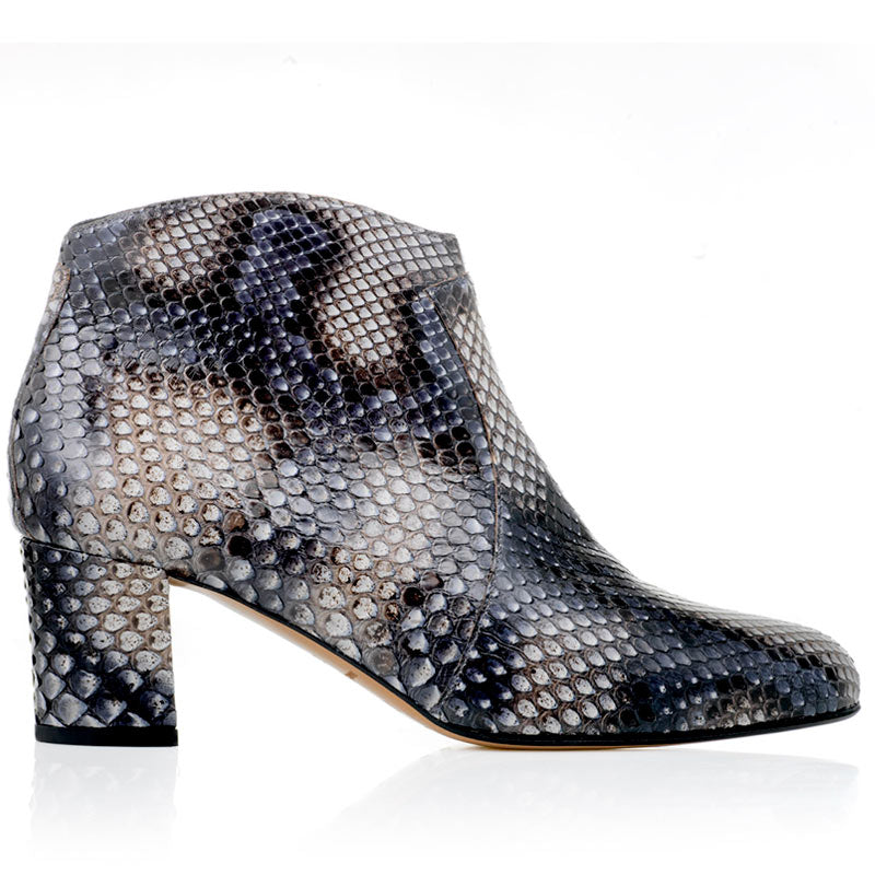 Oxford - python - Bégum Paris